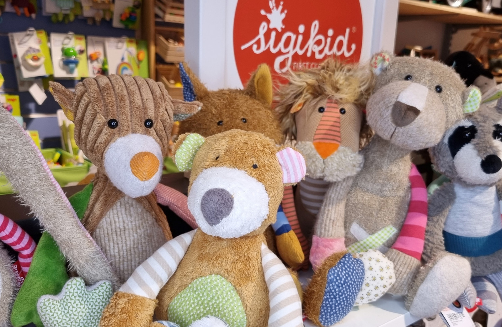 Holzwurm Spielzeugladen Waldshut-Tiengen