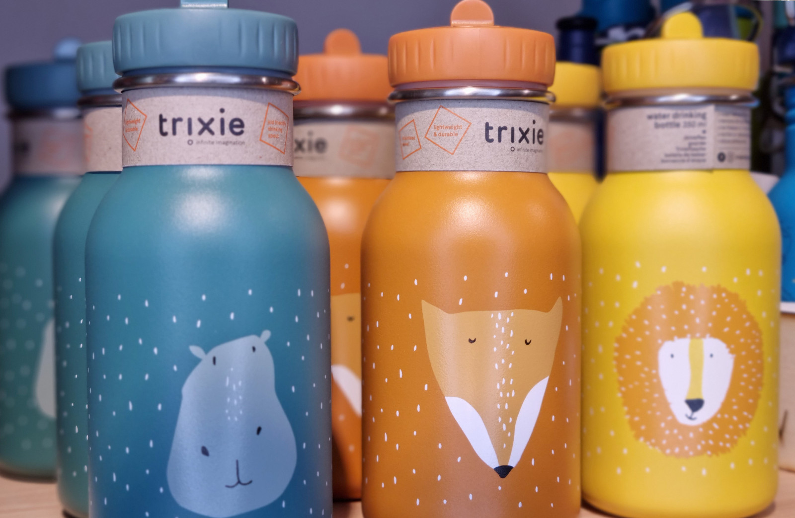 Waldshut-Tiengen Trinkflasche